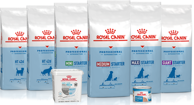 179 se l crownpartner2 pro