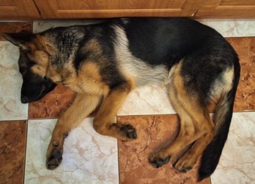 Ajka 5. mesicu 2025 21