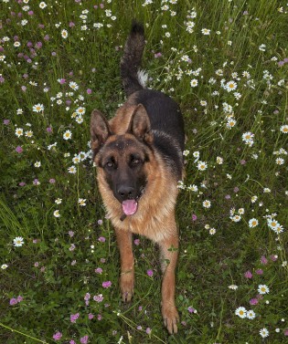 Allex 2. roky 01 kopie