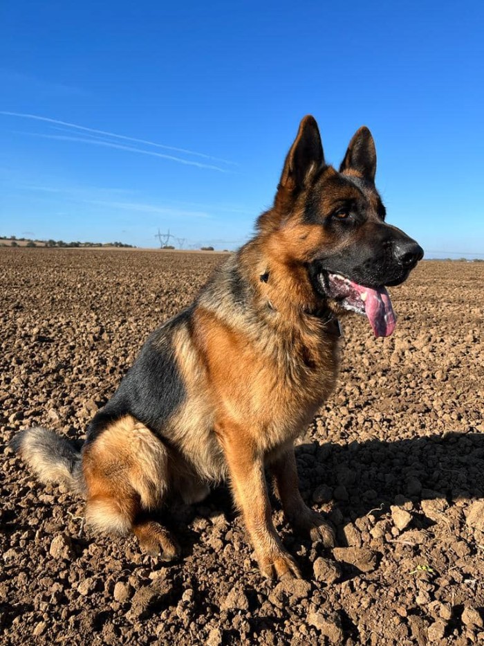 Ares 19 mesicu 01