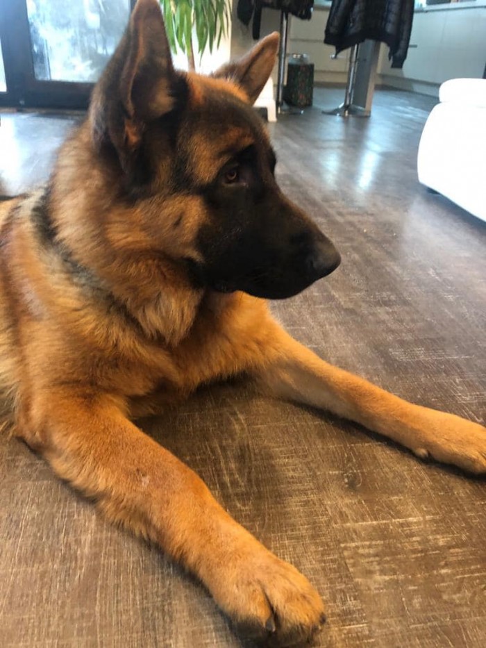 Ares 9 mesicu