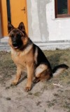 Arko 12 m 01