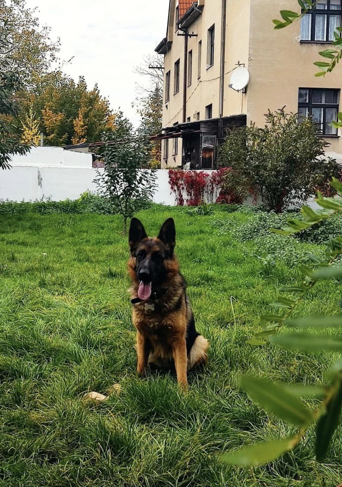 Arya 15r 02