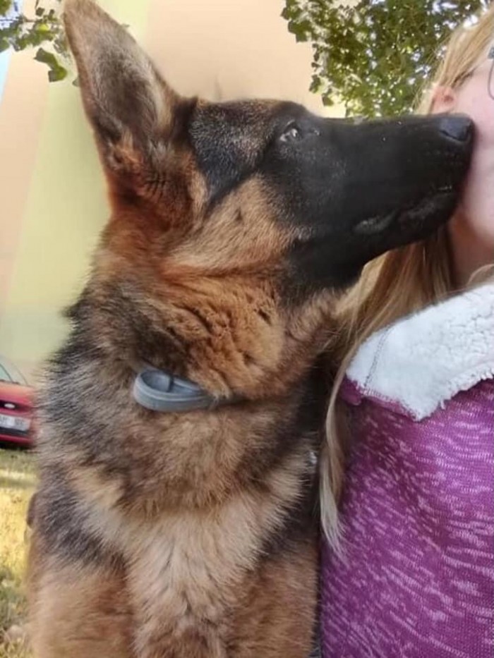 Arya 7.mesicu