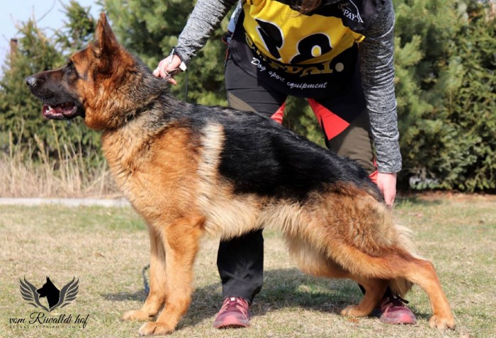 Axelle 19.3.2022
