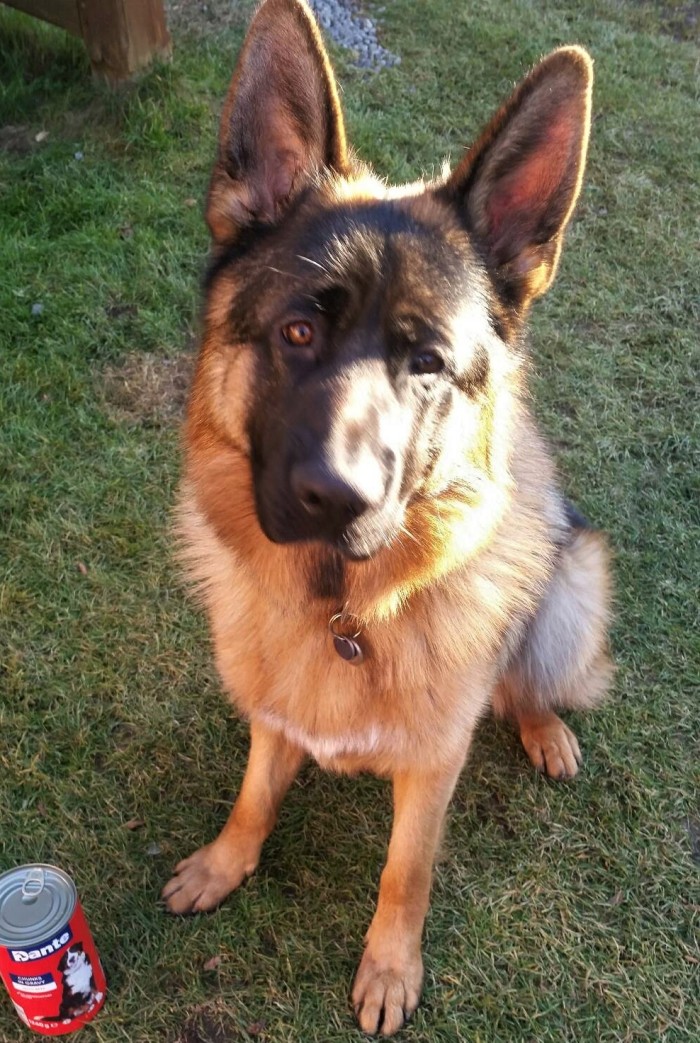 Bax 1.rok