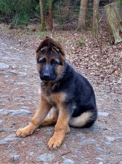 Bella 01.4.2022 777