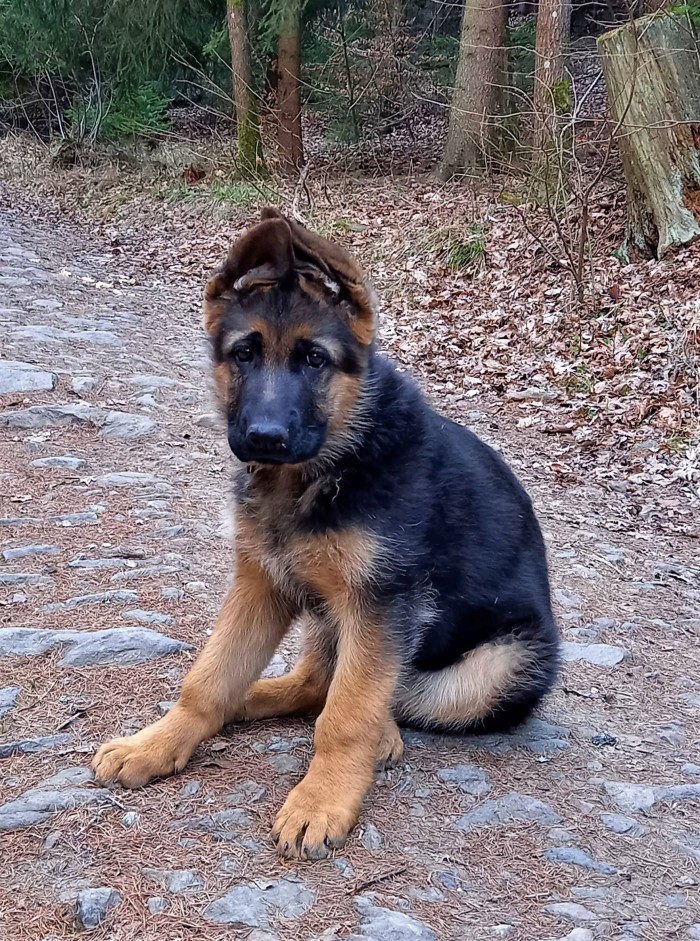 Bella 01.4.2022 777