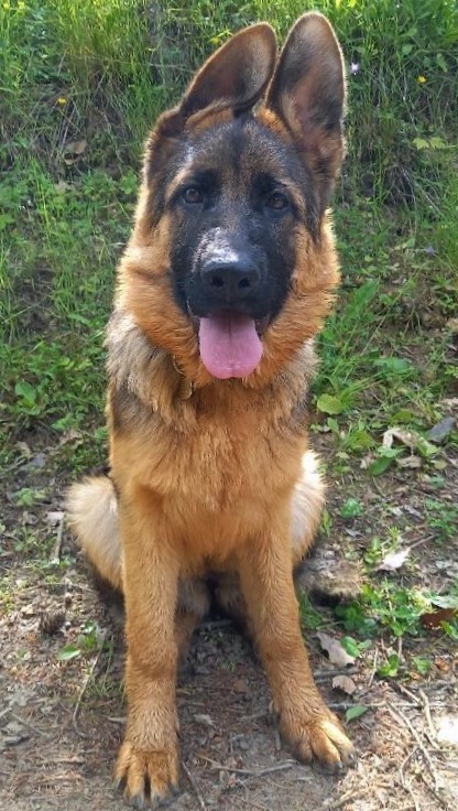 Bella 5 mes