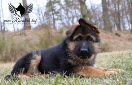 Bella 8t 01