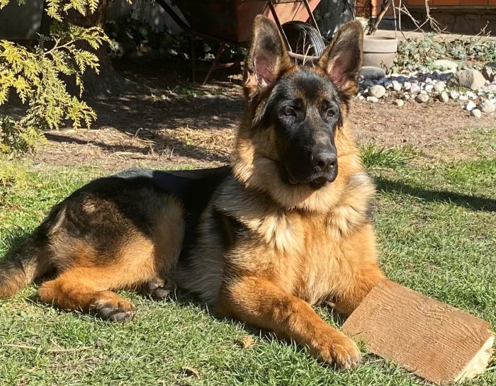 Carlye 03 23