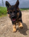 Dafnie foto z noveho domova 1