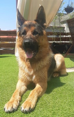 Ekyrro 2 roky