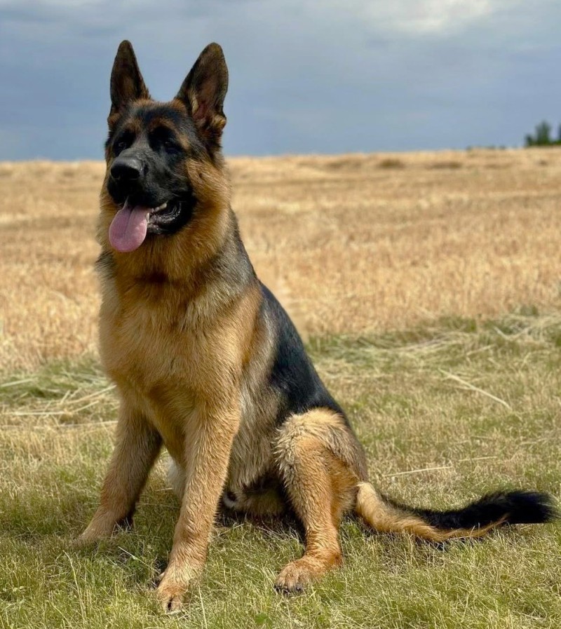 Hugo cervenec 2025 011