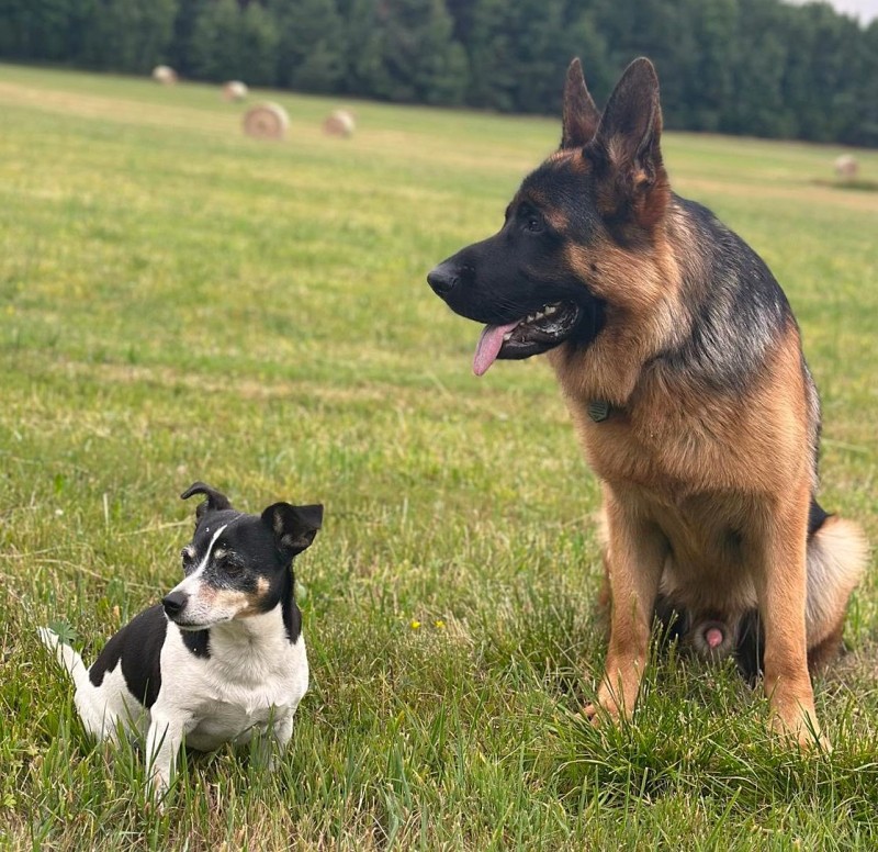 Hugo cervenec 2025 01 1