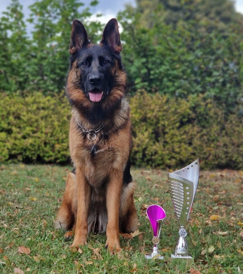 foto cervenec 2025 15