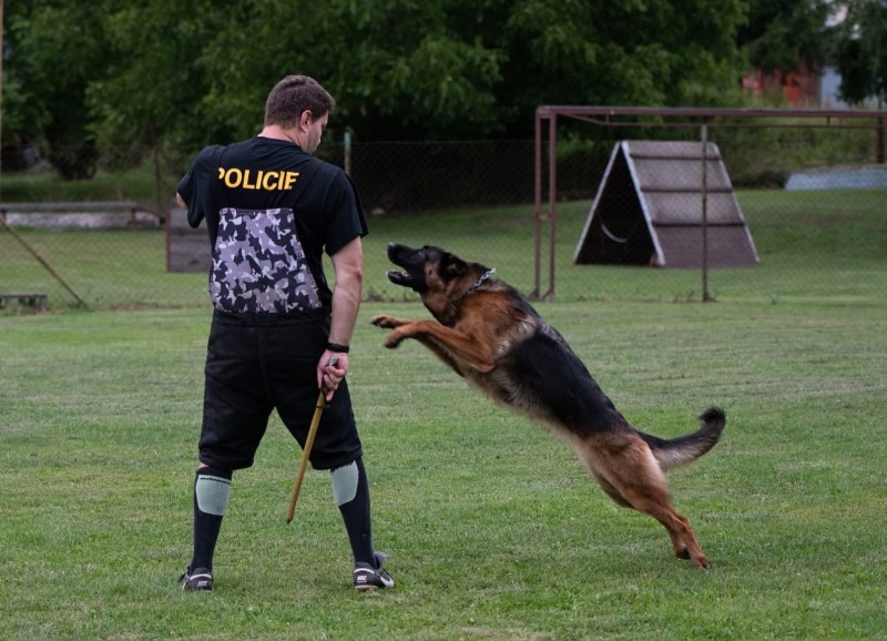 foto cervenec 2025 18