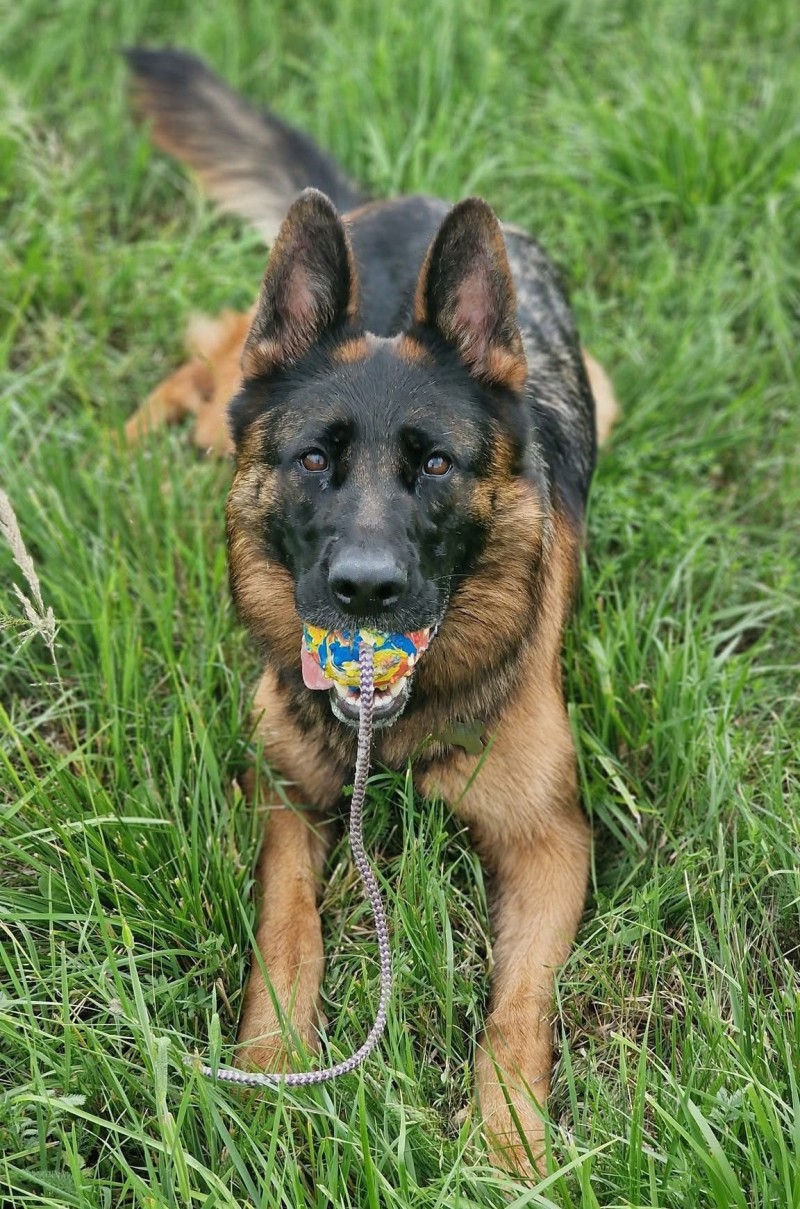 foto cervenec 2025 19