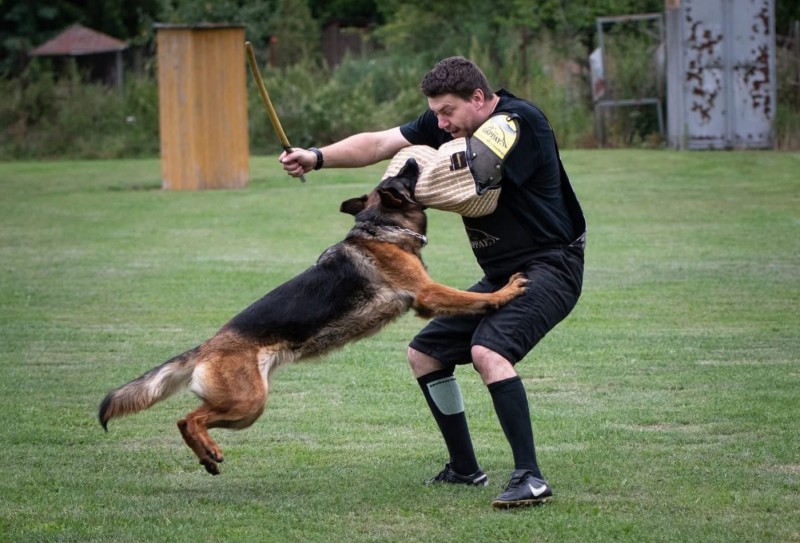 foto cervenec 2025 4