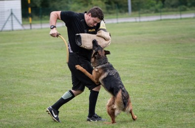 foto cervenec 2025 6