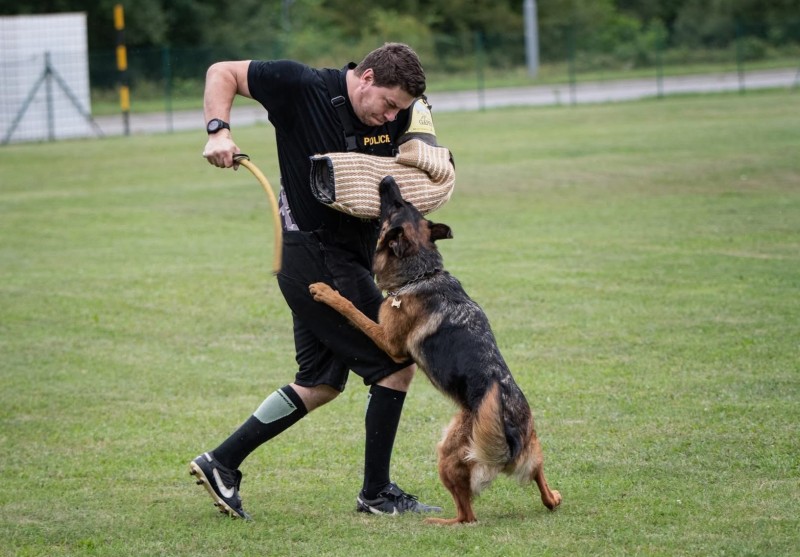 foto cervenec 2025 6