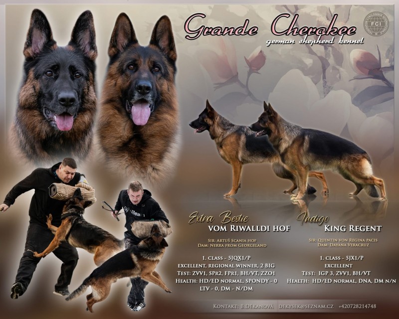 letacek Bestijka a Indigo