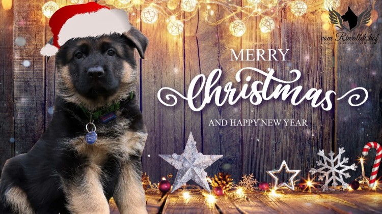pizap christmas